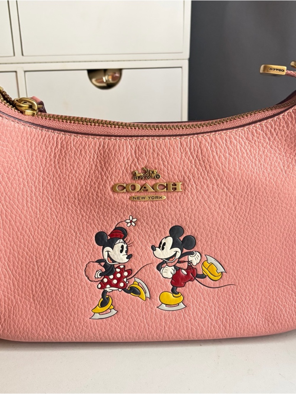 Coach x Disney Teri